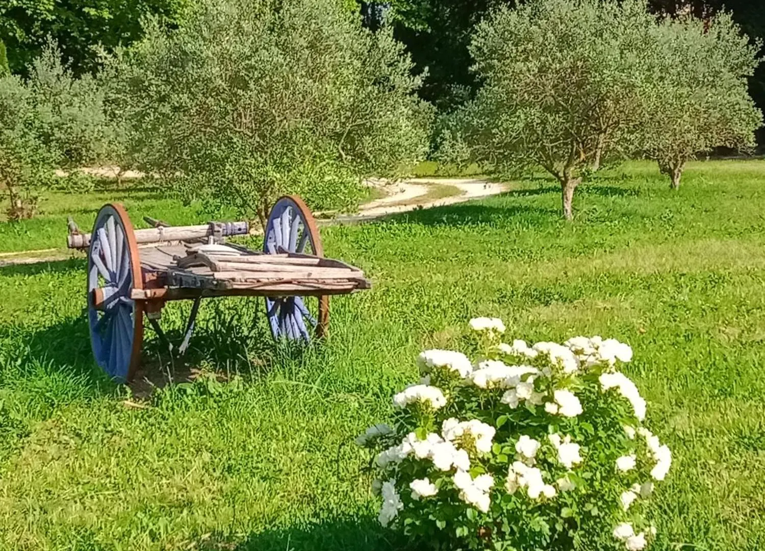 Roulotte Karlotte Villa Pernes-les-Fontaines Holiday home